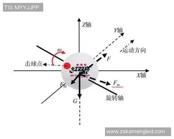 深圳乒乓球队战术深度解析与对比研究之独特视角