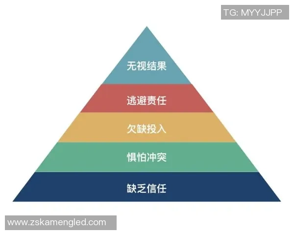 深圳排球队的团队协作精神与战术配合探讨